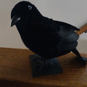 8"x9"x11" Lightweight Feathered Black Crow with Iridescent Blue Eye